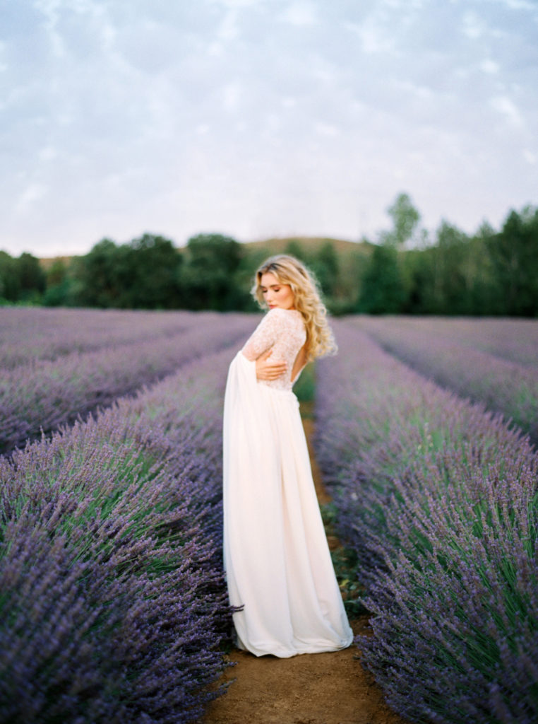 a lavender field is a quintessential French countryside location. 