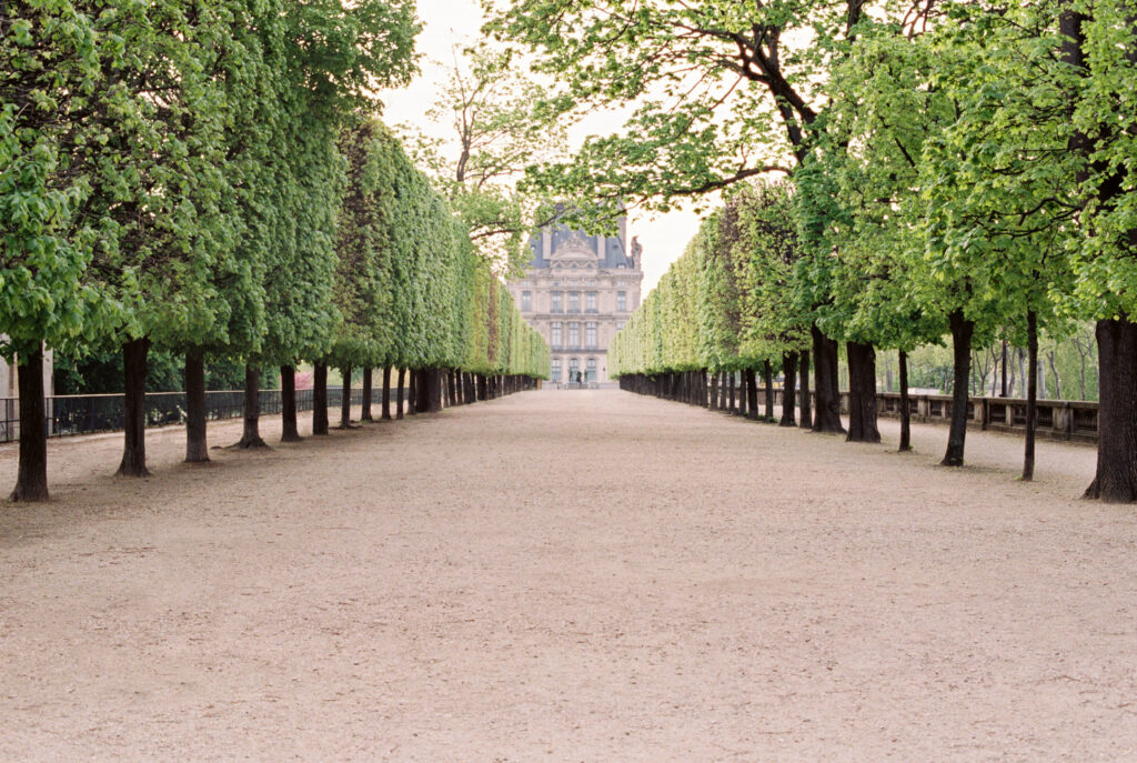 One of my favourite spots for a Paris Elopement: the Jardin des Tuileries.
